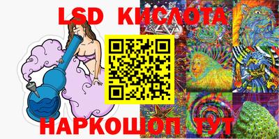 шишки Будённовск