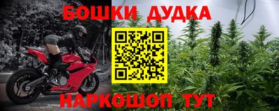 шишки Будённовск