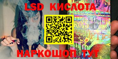 шишки Будённовск