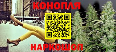 шишки Будённовск