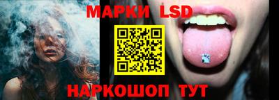 шишки Будённовск