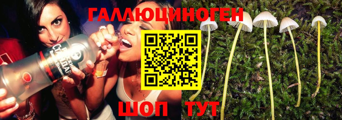 Алапаевск  Галлюциногенные грибы Cubensis  Вход с VPN  наркотики  Галлюциногенные грибы GOLDEN TEACHER 