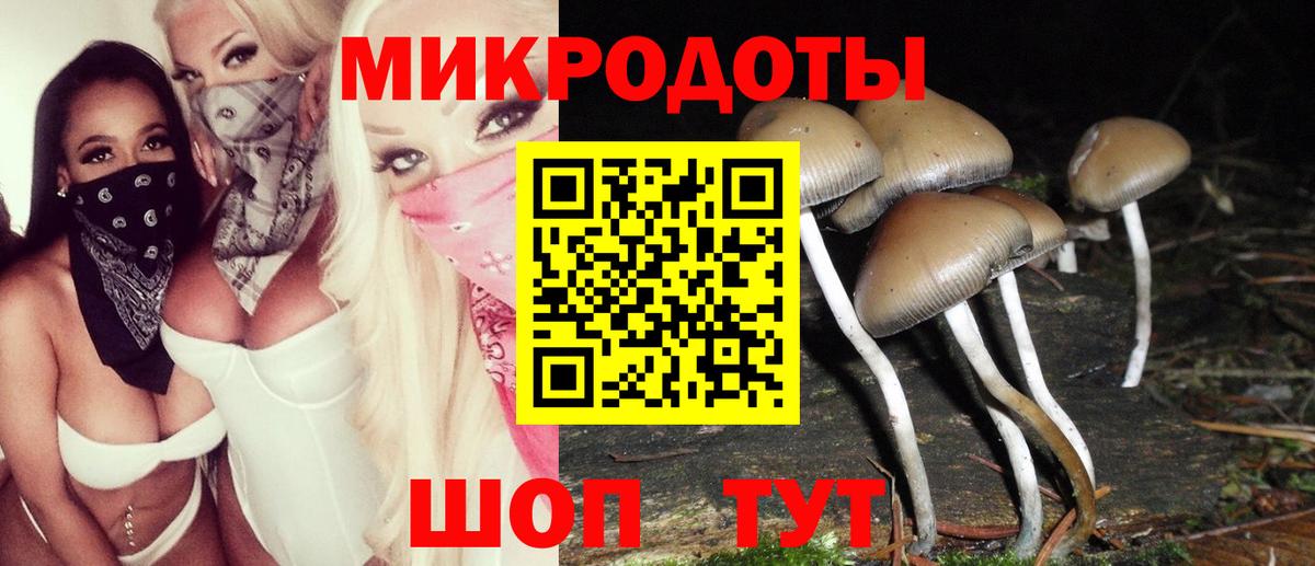Галлюциногенные грибы прущие грибы Алапаевск
